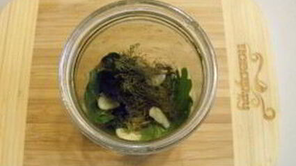 малосольные огурчики на зиму