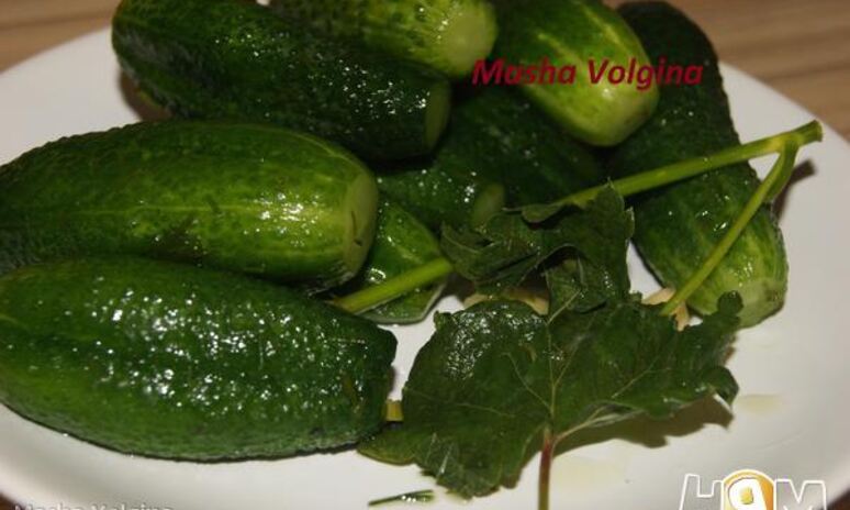 Рецепт малосольные огурчики