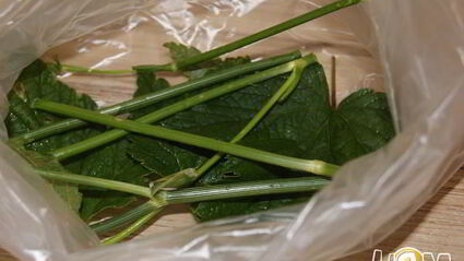 малосольные огурчики