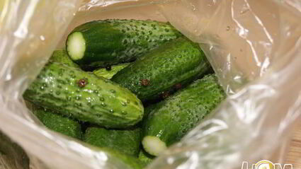 малосольные огурчики