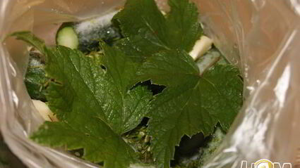 малосольные огурчики