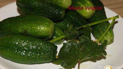 малосольные огурчики