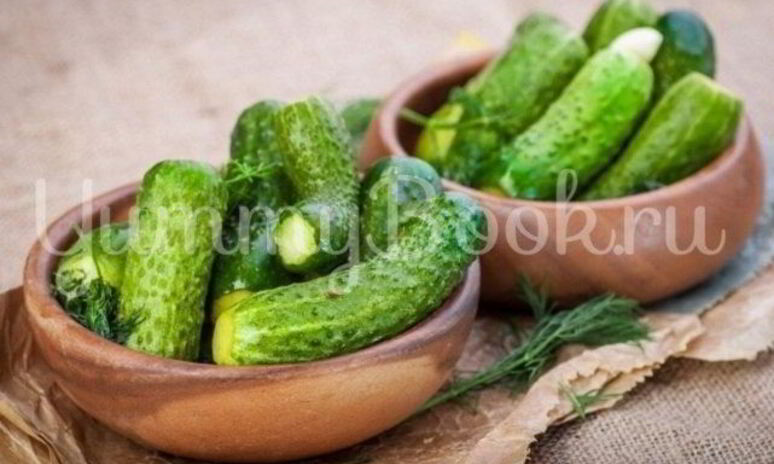 Рецепт малосольные огурцы