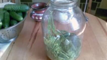 малосольные огурцы