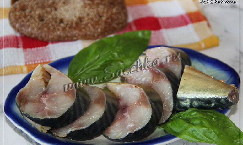 Рецепт соленая скумбрия
