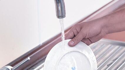 соленые белые грибы