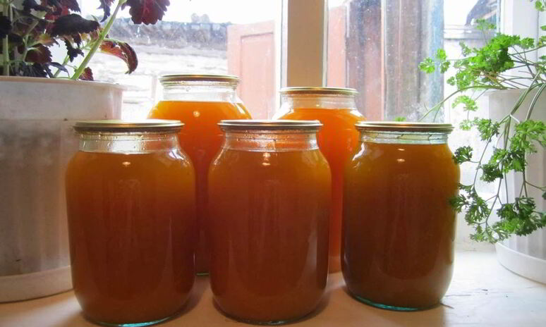 Рецепт тыквенный сок на зиму