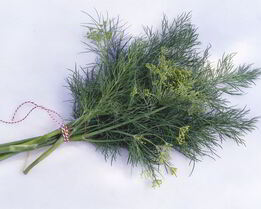 Укроп с чесноком