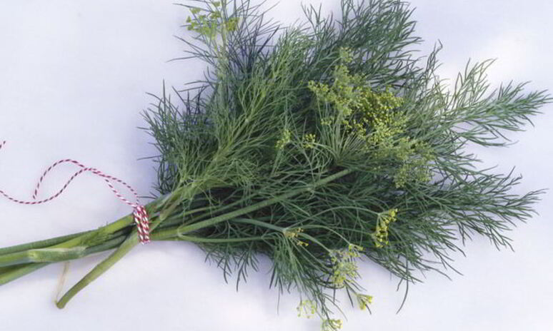 Рецепт укроп с чесноком