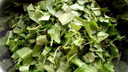 щавелевое варенье