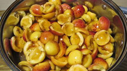 варенье из абрикосов половинками