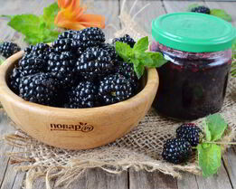 Варенье из ежевики без варки