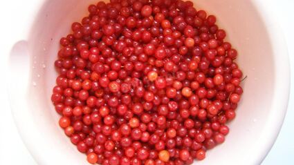 варенье из калины на зиму