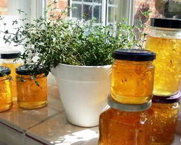 Варенье из одуванчиков и ревеня