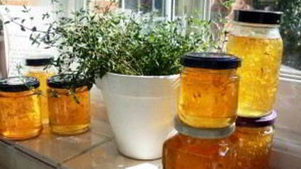 варенье из одуванчиков и ревеня