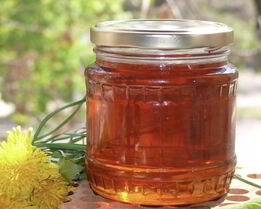 Варенье из одуванчиков в хлебопечке