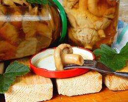 Волнушки соленые на зиму