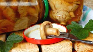 Волнушки соленые на зиму