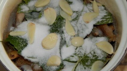 волнушки соленые на зиму