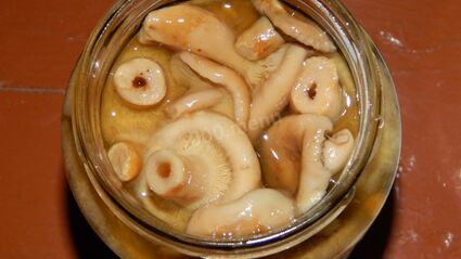 волнушки соленые на зиму