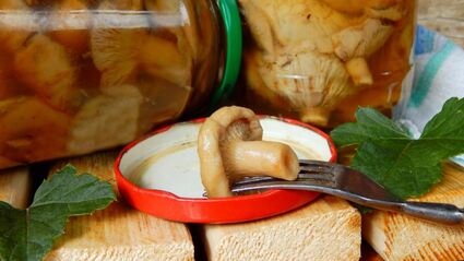 волнушки соленые на зиму