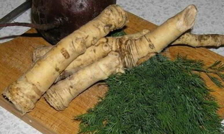 Рецепт заготовка хрена на зиму