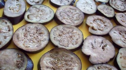 заморозка баклажанов на зиму