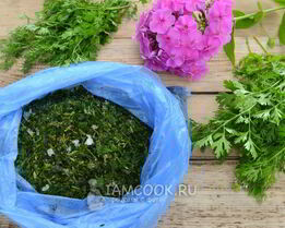 Заморозка кинзы на зиму