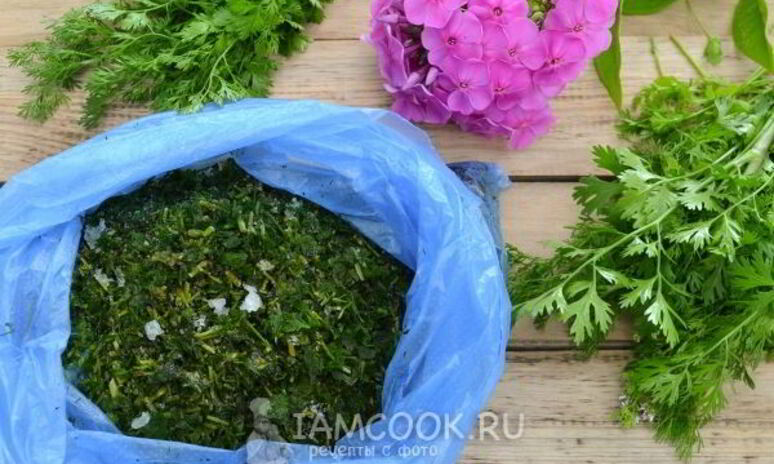 Рецепт заморозка кинзы на зиму