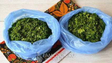 заморозка кинзы на зиму