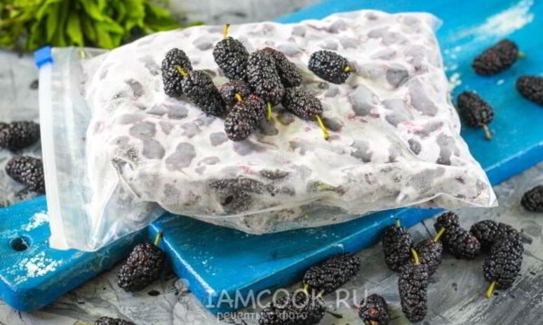 Рецепт заморозка шелковицы на зиму