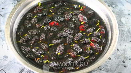 заморозка шелковицы на зиму