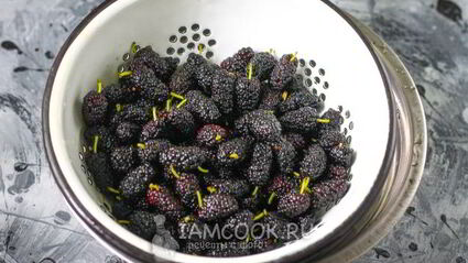 заморозка шелковицы на зиму