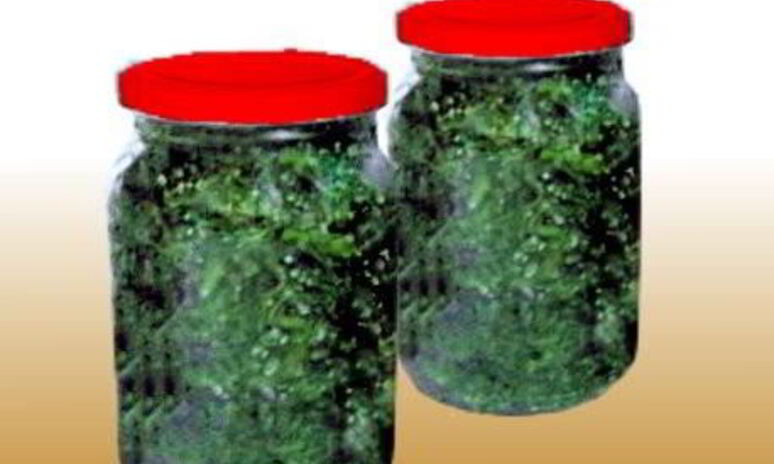 Рецепт засолка укропа в банках