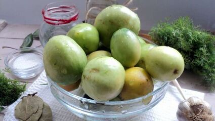 зеленые помидоры на зиму