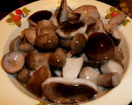 Жареные белые грибы на зиму