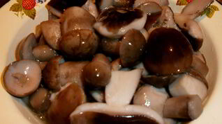 Жареные белые грибы на зиму