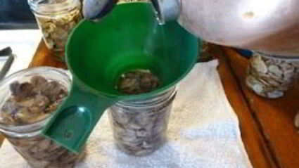 жареные белые грибы на зиму