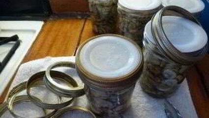 жареные белые грибы на зиму