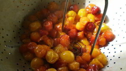 желе из алычи на зиму