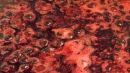 желе из черной смородины на зиму