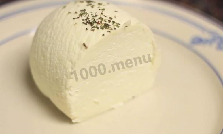 Рецепт домашний сыр из козьего молока