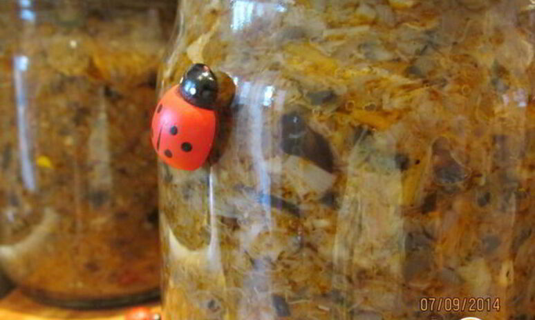 Рецепт икра грибная