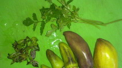 омлет октябрьский