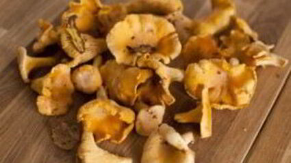 омлет с лисичками