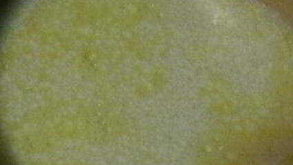 омлет с майонезом