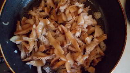 грибной паштет