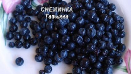 паштет куриный с черникой