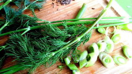 маринованные роллы из молодых кабачков