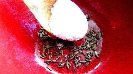 маринованные роллы из молодых кабачков